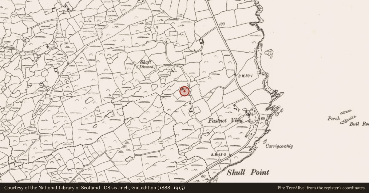 Ordnance Survey six-inch map, 2nd edition (1888–1915) covering the location of Structure, Skull, County Cork, with a pin at the register's coordinates