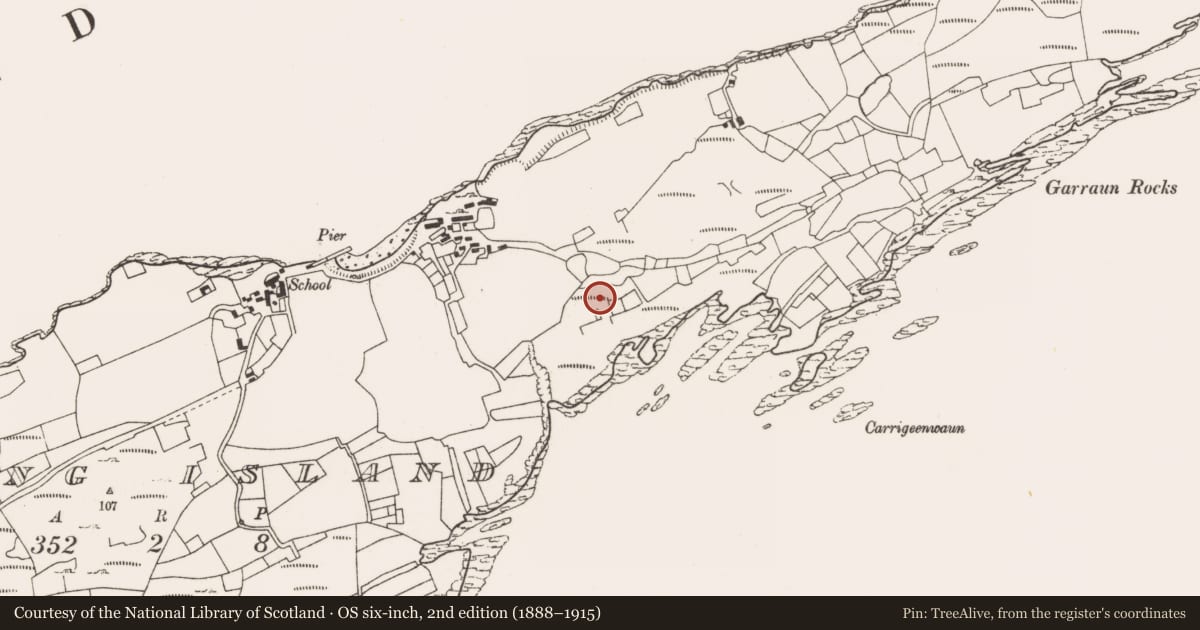Ordnance Survey six-inch map, 2nd edition (1888–1915) covering the location of Stone row, Long Island, County Cork, with a pin at the register's coordinates