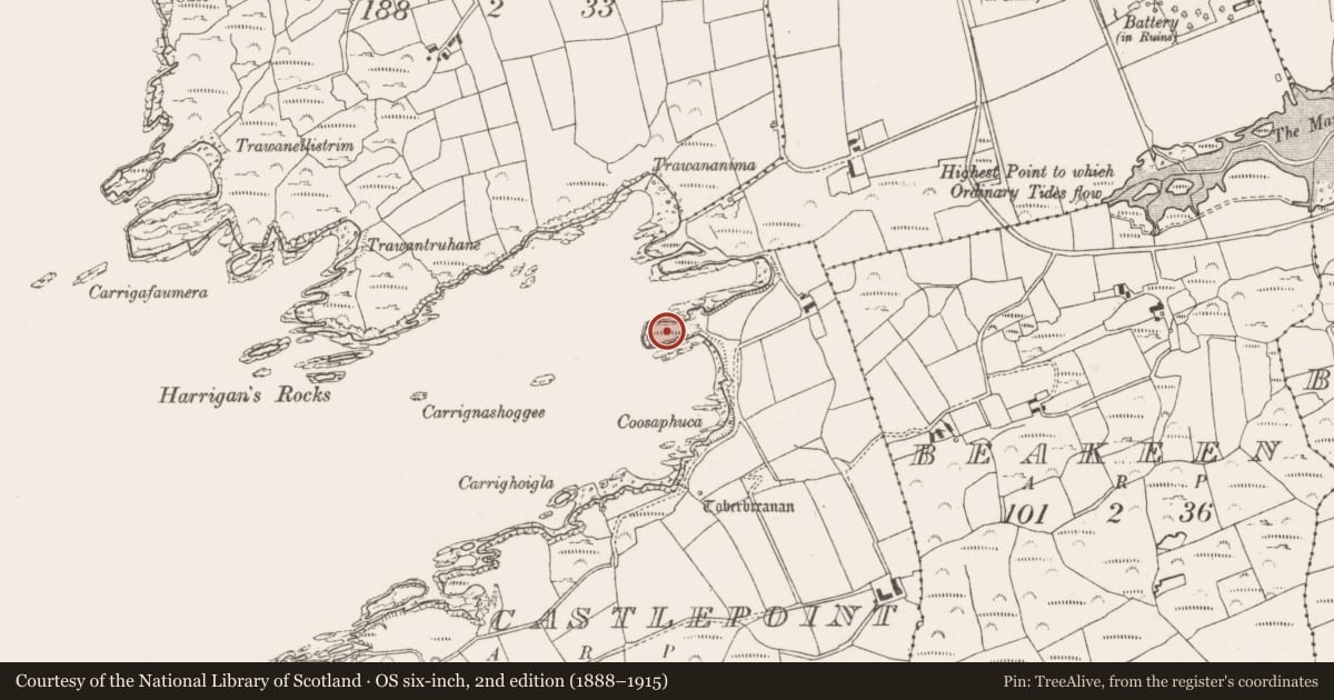 Ordnance Survey six-inch map, 2nd edition (1888–1915) covering the location of Promontory fort - coastal, Castlepoint, County Cork, with a pin at the register's coordinates