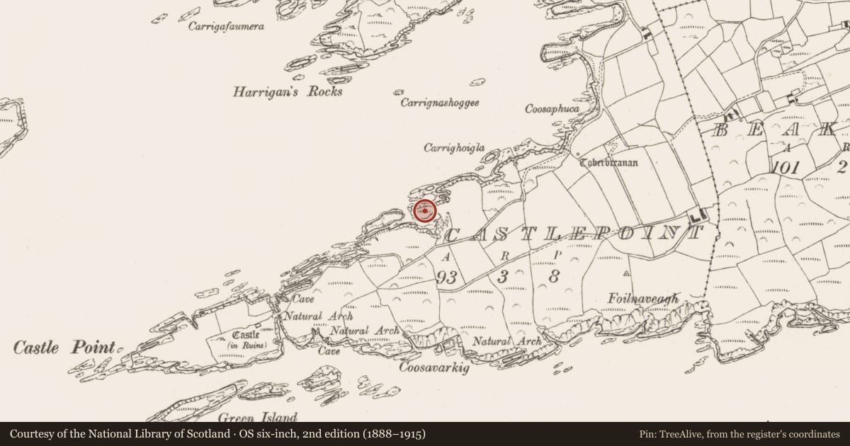 Ordnance Survey six-inch map, 2nd edition (1888–1915) covering the location of Promontory fort - coastal, Castlepoint, County Cork, with a pin at the register's coordinates