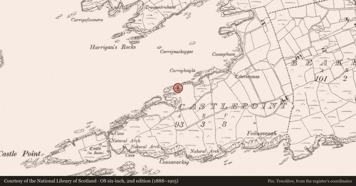 Ordnance Survey six-inch map, 2nd edition (1888–1915) covering the location of Promontory fort - coastal, Castlepoint, County Cork, with a pin at the register's coordinates