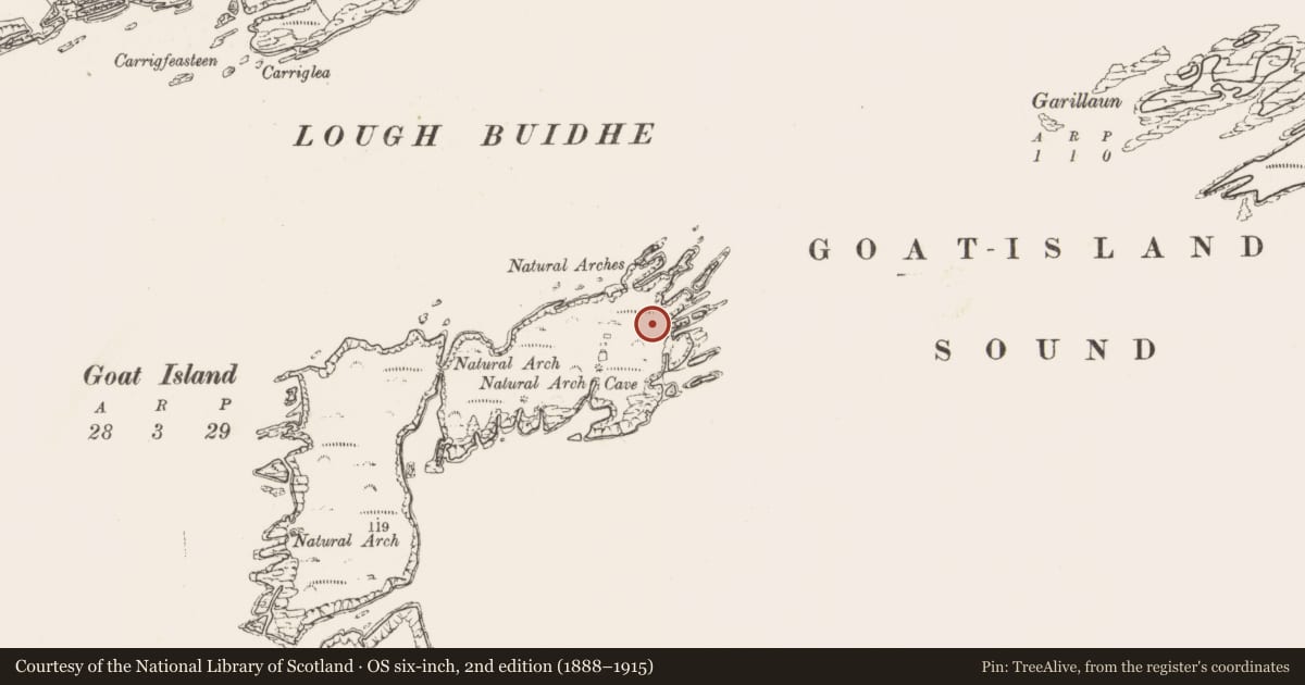 Ordnance Survey six-inch map, 2nd edition (1888–1915) covering the location of Promontory fort - coastal, Goat Island, County Cork, with a pin at the register's coordinates