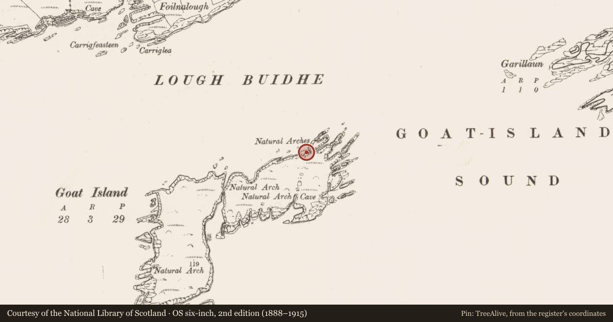 Ordnance Survey six-inch map, 2nd edition (1888–1915) covering the location of Promontory fort - coastal, Goat Island, County Cork, with a pin at the register's coordinates