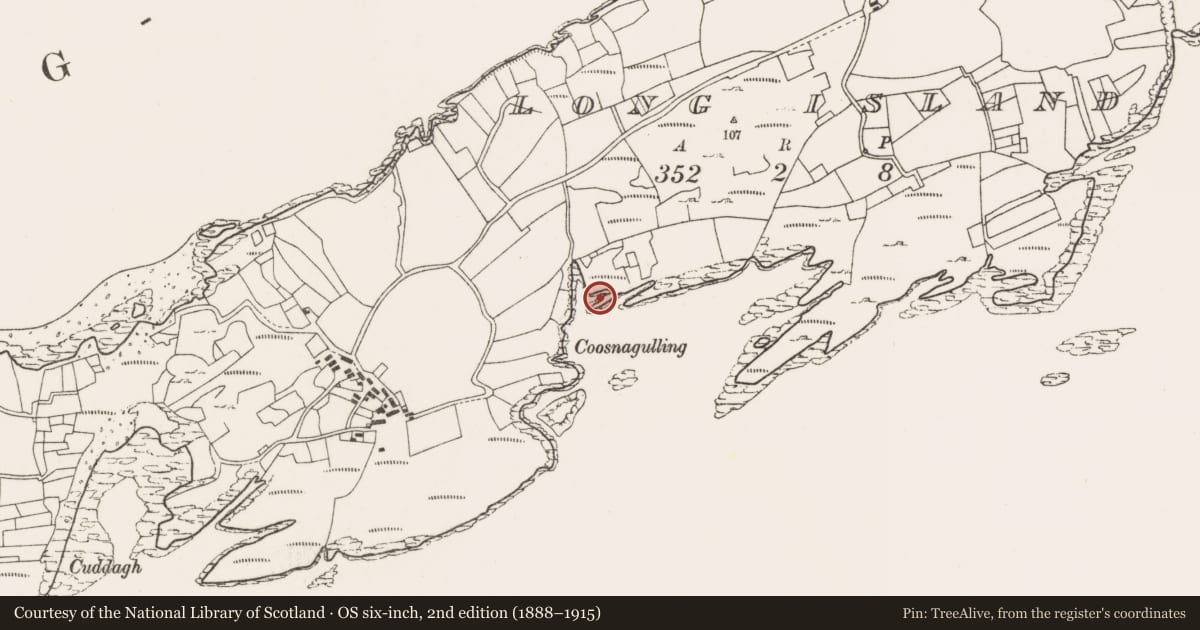 Ordnance Survey six-inch map, 2nd edition (1888–1915) covering the location of Promontory fort - coastal, Long Island, County Cork, with a pin at the register's coordinates