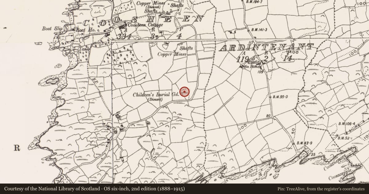 Ordnance Survey six-inch map, 2nd edition (1888–1915) covering the location of Cross-inscribed pillar, Coosheen, County Cork, with a pin at the register's coordinates