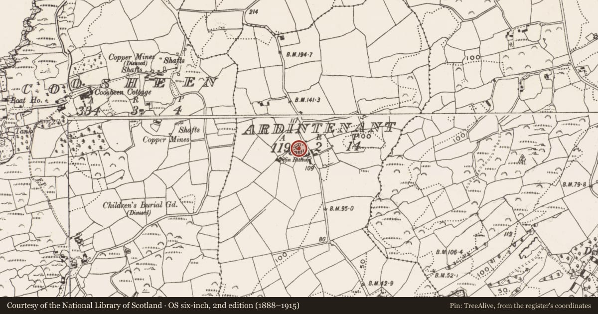 Ordnance Survey six-inch map, 2nd edition (1888–1915) covering the location of Castle - tower house, Ardintenant, County Cork, with a pin at the register's coordinates