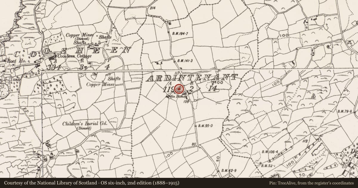 Ordnance Survey six-inch map, 2nd edition (1888–1915) covering the location of Bawn, Ardintenant, County Cork, with a pin at the register's coordinates
