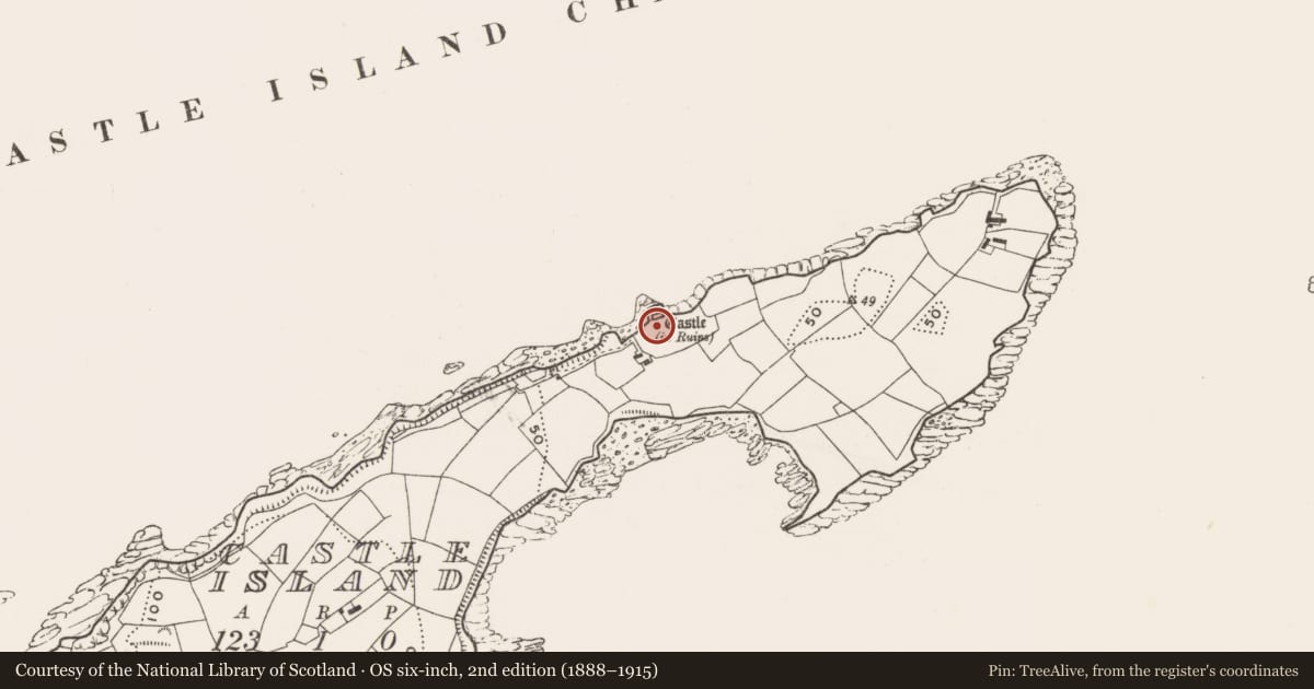 Ordnance Survey six-inch map, 2nd edition (1888–1915) covering the location of Promontory fort - coastal, Castle Island, County Cork, with a pin at the register's coordinates