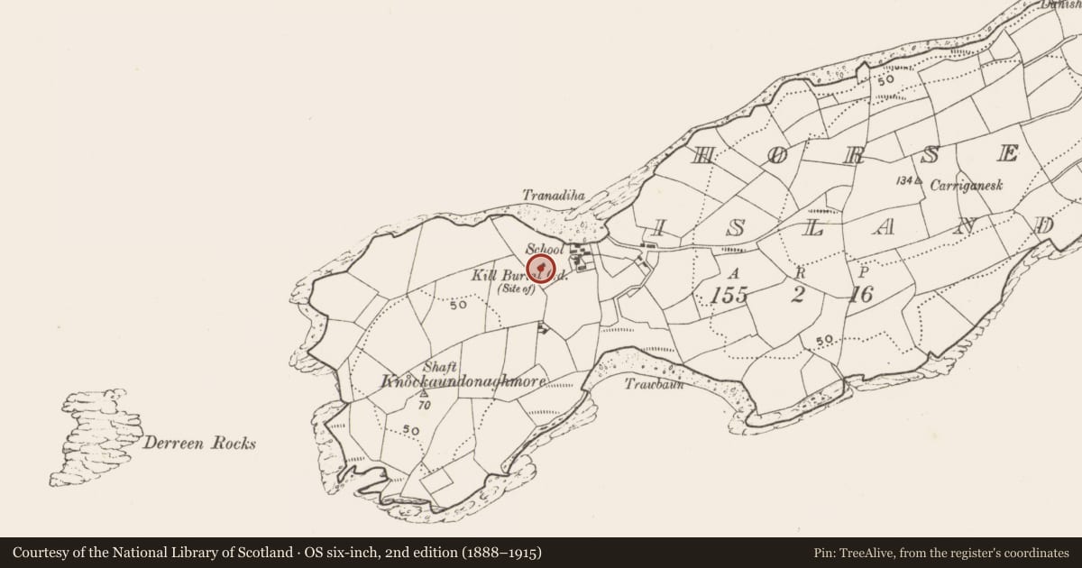 Ordnance Survey six-inch map, 2nd edition (1888–1915) covering the location of Burial ground, Horse Island, County Cork, with a pin at the register's coordinates