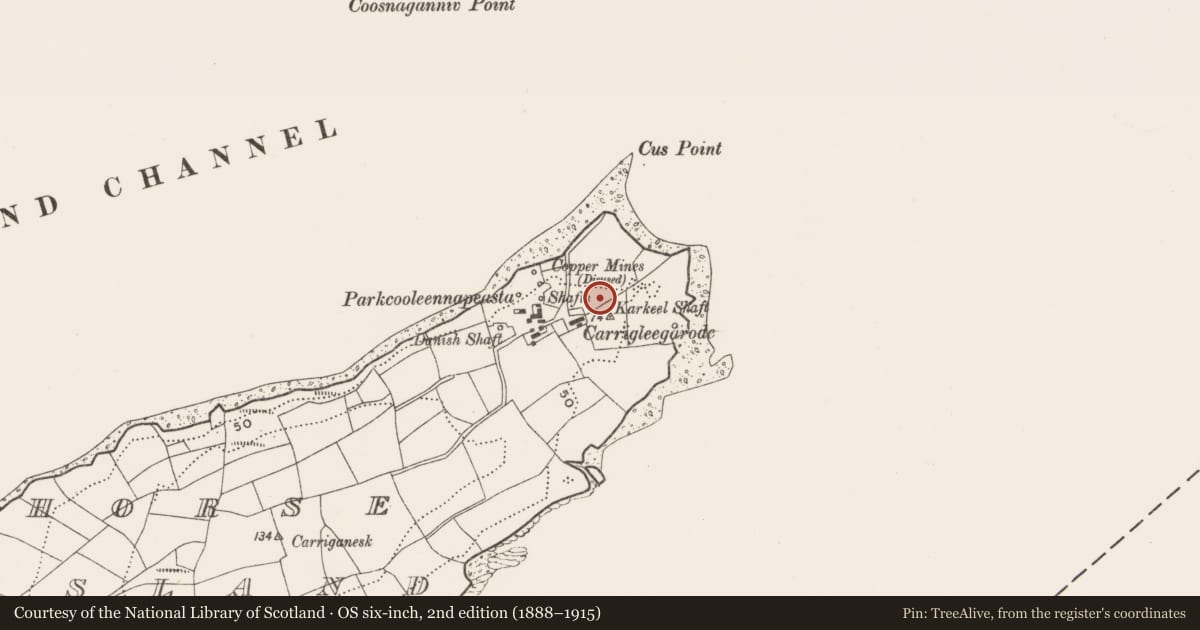 Ordnance Survey six-inch map, 2nd edition (1888–1915) covering the location of Mine - copper, Horse Island, County Cork, with a pin at the register's coordinates