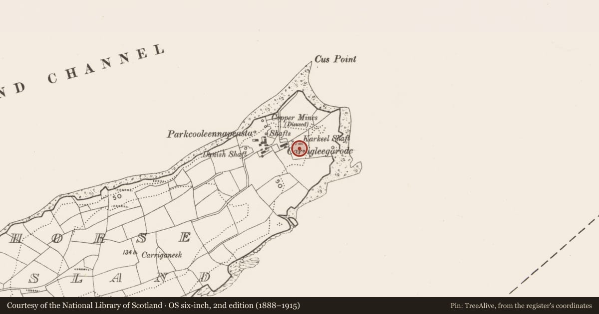 Ordnance Survey six-inch map, 2nd edition (1888–1915) covering the location of Mining complex, Horse Island, County Cork, with a pin at the register's coordinates