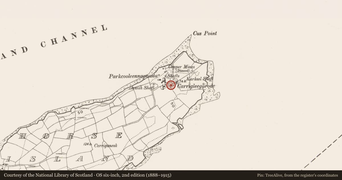 Ordnance Survey six-inch map, 2nd edition (1888–1915) covering the location of Miner's settlement, Horse Island, County Cork, with a pin at the register's coordinates