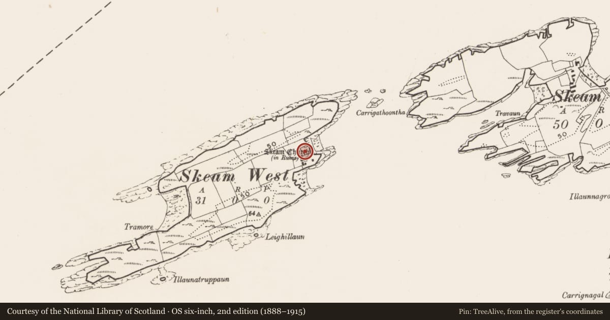 Ordnance Survey six-inch map, 2nd edition (1888–1915) covering the location of Burial ground, Skeam West, County Cork, with a pin at the register's coordinates