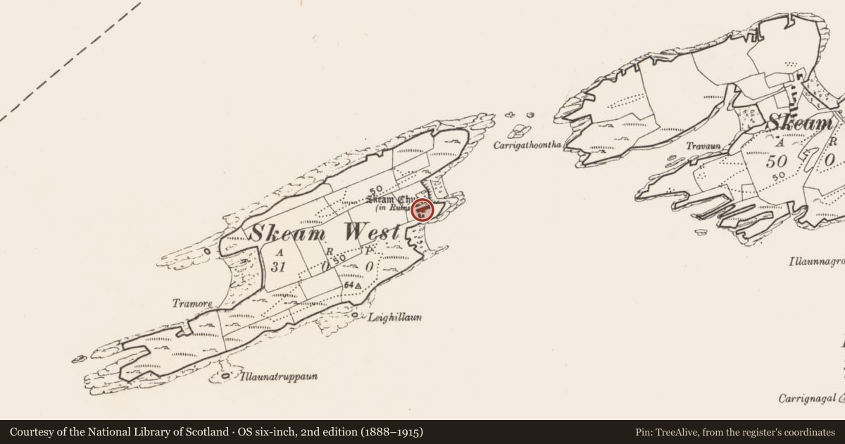 Ordnance Survey six-inch map, 2nd edition (1888–1915) covering the location of Midden, Skeam West, County Cork, with a pin at the register's coordinates