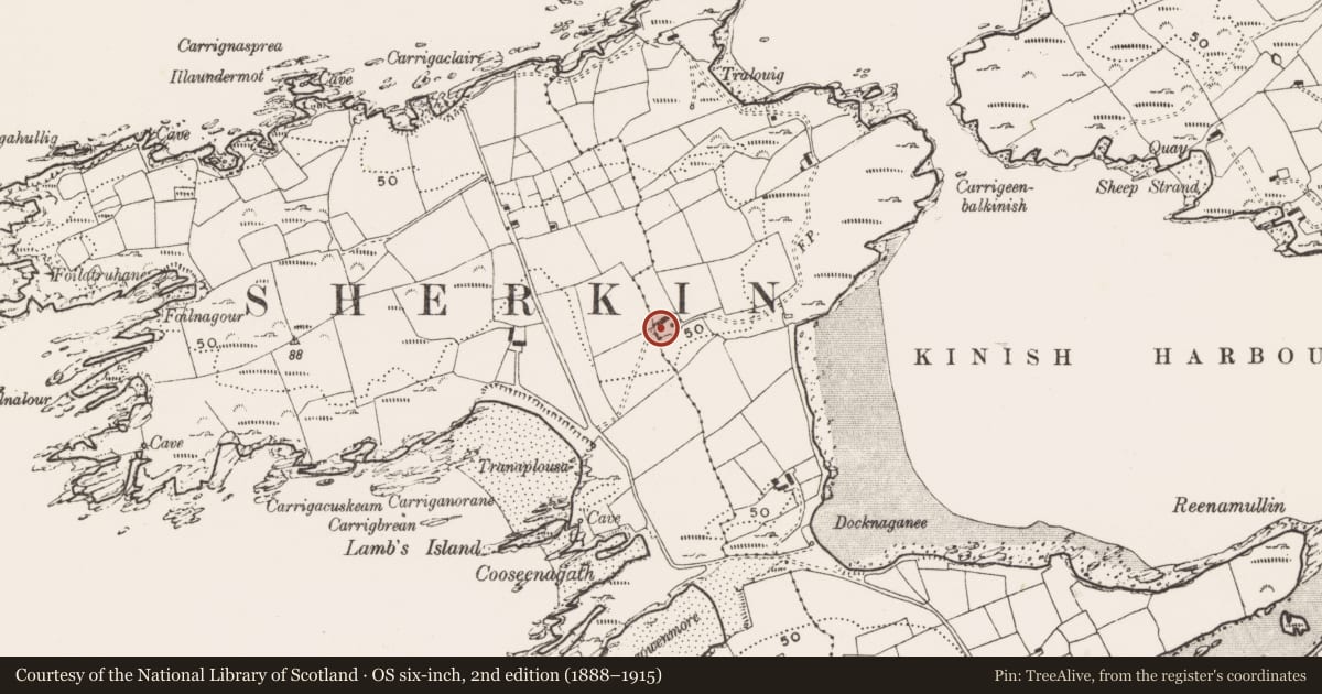Ordnance Survey six-inch map, 2nd edition (1888–1915) covering the location of Burial ground, Kilmoon (Sherkin Island), County Cork, with a pin at the register's coordinates