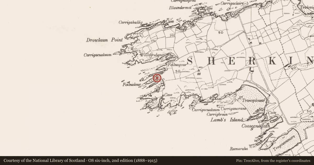 Ordnance Survey six-inch map, 2nd edition (1888–1915) covering the location of Hut site, Cloddagh (Sherkin Island), County Cork, with a pin at the register's coordinates