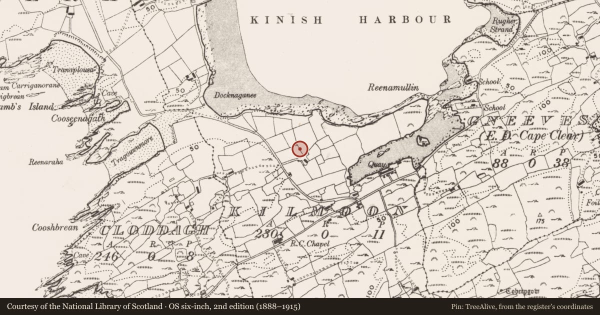 Ordnance Survey six-inch map, 2nd edition (1888–1915) covering the location of Cupmarked stone, Kilmoon (Sherkin Island), County Cork, with a pin at the register's coordinates