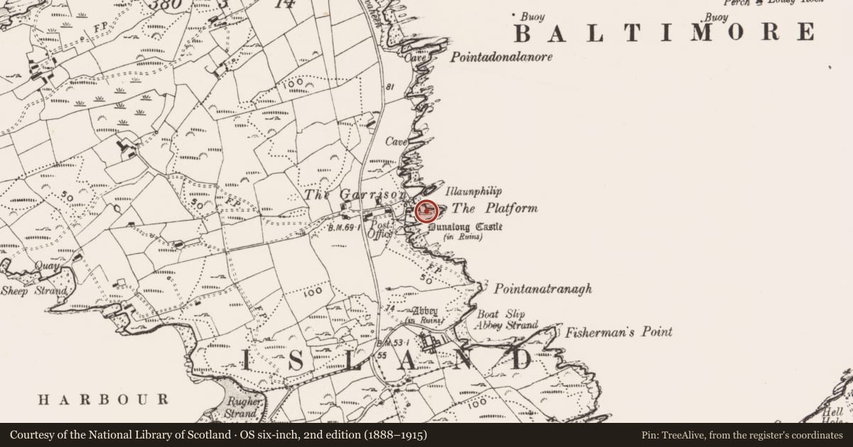 Ordnance Survey six-inch map, 2nd edition (1888–1915) covering the location of Promontory fort - coastal, Farranacoush (Sherkin Island), County Cork, with a pin at the register's coordinates