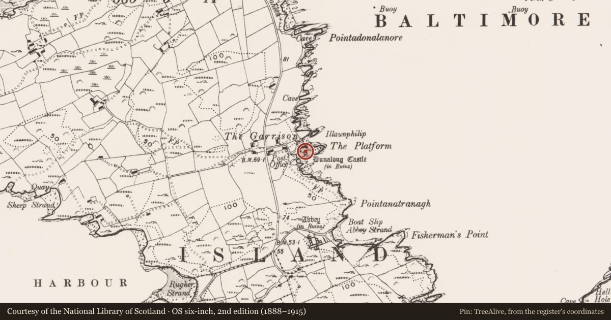 Ordnance Survey six-inch map, 2nd edition (1888–1915) covering the location of Bawn, Farranacoush (Sherkin Island), County Cork, with a pin at the register's coordinates