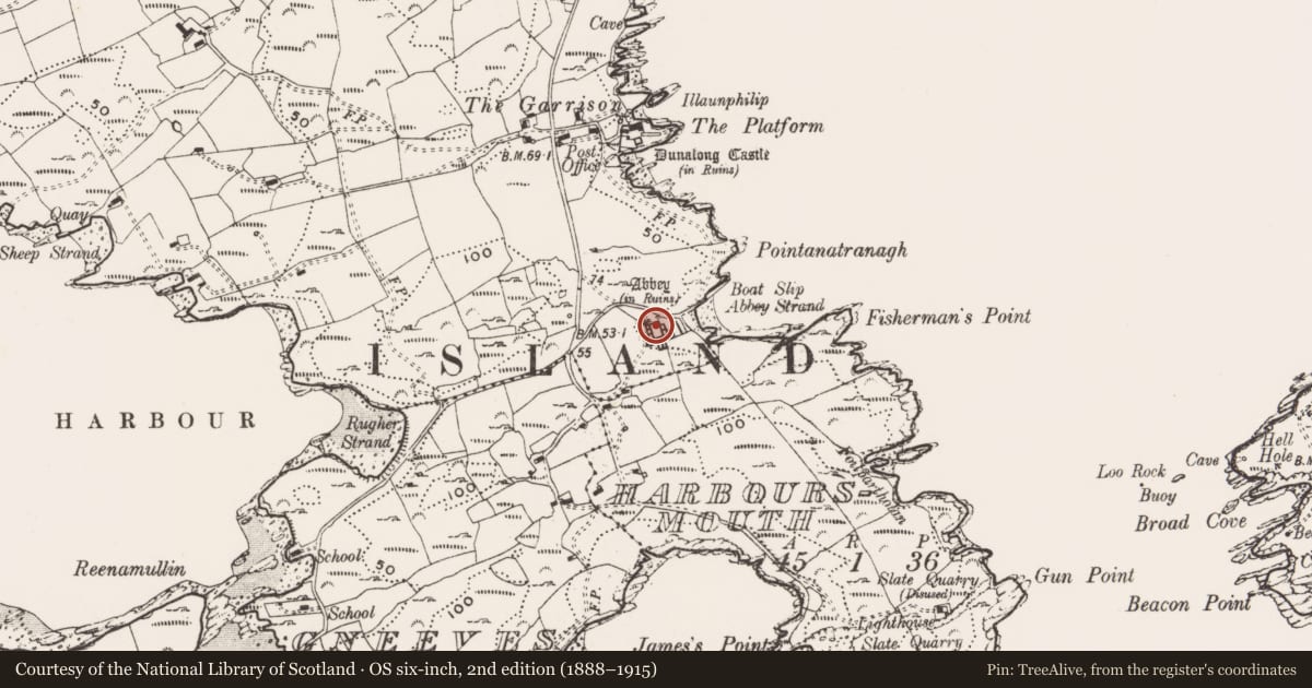 Ordnance Survey six-inch map, 2nd edition (1888–1915) covering the location of Graveyard, Farranacoush (Sherkin Island), County Cork, with a pin at the register's coordinates