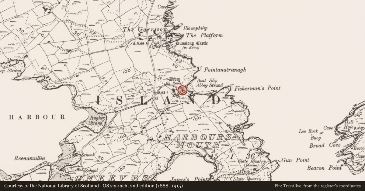 Ordnance Survey six-inch map, 2nd edition (1888–1915) covering the location of Fish palace, Farranacoush (Sherkin Island), County Cork, with a pin at the register's coordinates