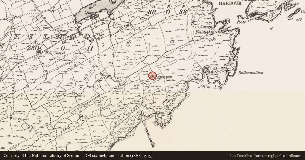 Ordnance Survey six-inch map, 2nd edition (1888–1915) covering the location of Ritual site - holy well, Kilmoon (Sherkin Island), County Cork, with a pin at the register's coordinates