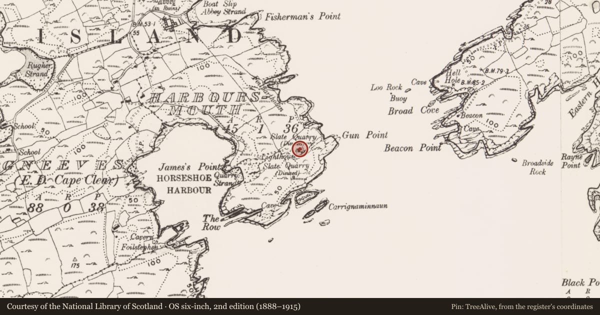Ordnance Survey six-inch map, 2nd edition (1888–1915) covering the location of Barracks, Harboursmouth (Sherkin Island), County Cork, with a pin at the register's coordinates