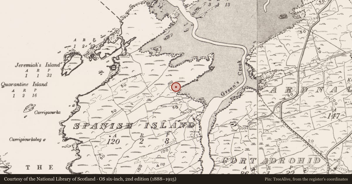 Ordnance Survey six-inch map, 2nd edition (1888–1915) covering the location of Castle - unclassified, Spanish Island, County Cork, with a pin at the register's coordinates