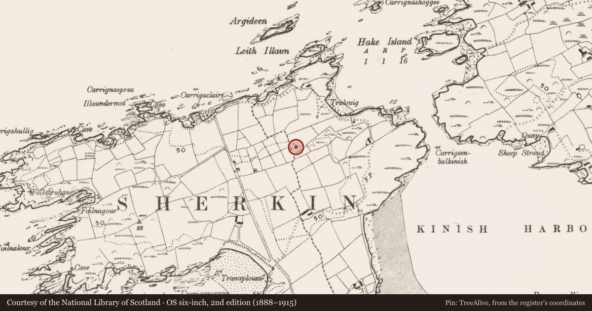 Ordnance Survey six-inch map, 2nd edition (1888–1915) covering the location of Souterrain, Cloddagh (Sherkin Island), County Cork, with a pin at the register's coordinates