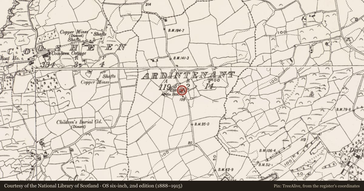 Ordnance Survey six-inch map, 2nd edition (1888–1915) covering the location of Ringfort - rath, Ardintenant, County Cork, with a pin at the register's coordinates