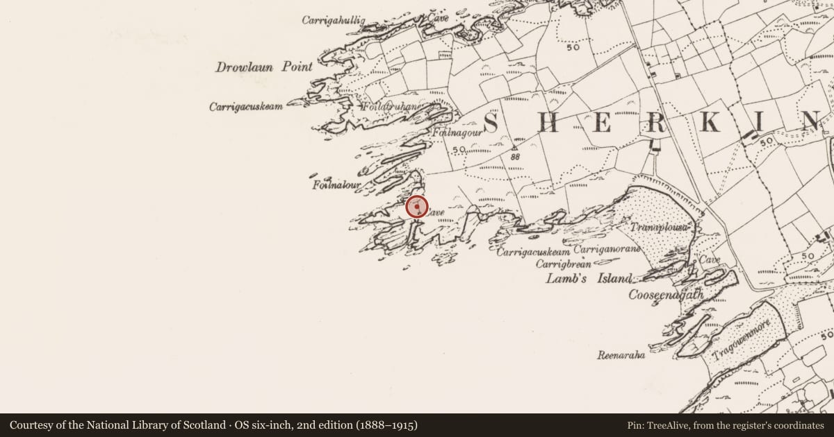 Ordnance Survey six-inch map, 2nd edition (1888–1915) covering the location of Promontory fort - coastal, Cloddagh (Sherkin Island), County Cork, with a pin at the register's coordinates