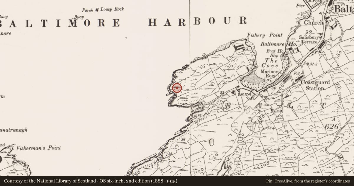 Ordnance Survey six-inch map, 2nd edition (1888–1915) covering the location of Burial ground, Baltimore, County Cork, with a pin at the register's coordinates