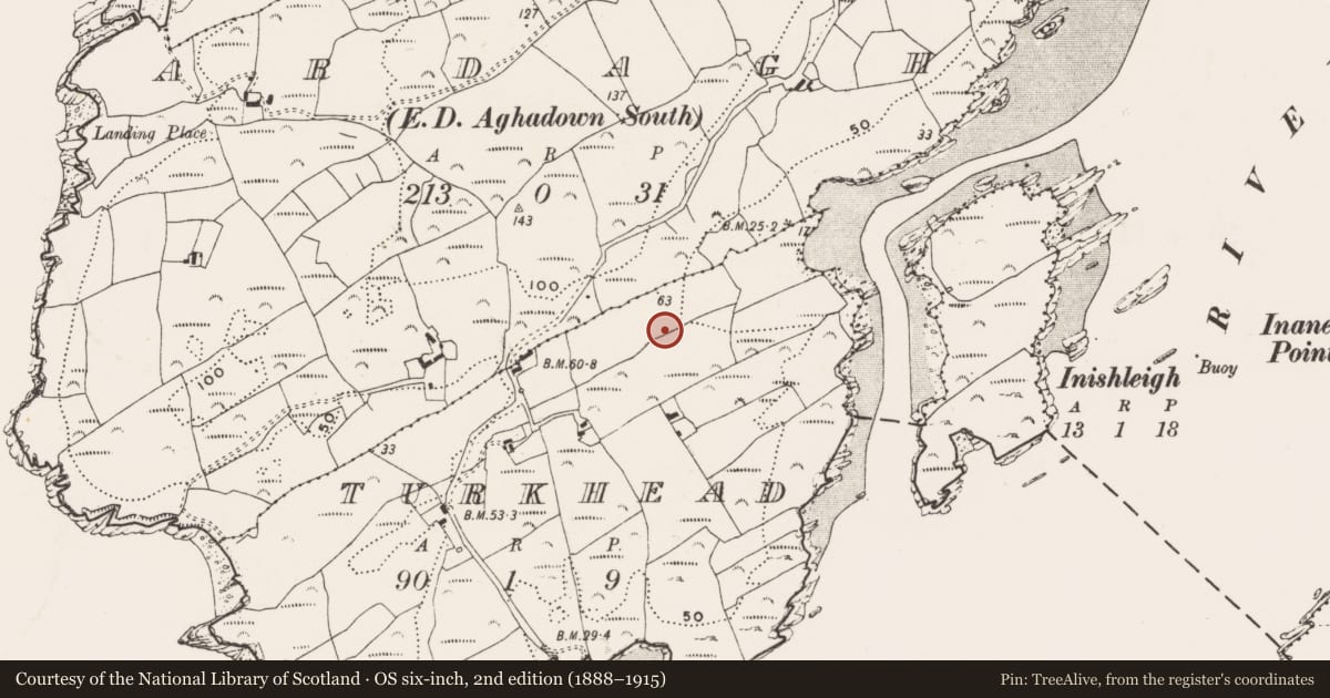 Ordnance Survey six-inch map, 2nd edition (1888–1915) covering the location of Hut site, Turkhead, County Cork, with a pin at the register's coordinates