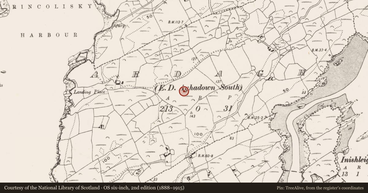 Ordnance Survey six-inch map, 2nd edition (1888–1915) covering the location of Children's burial ground, Ardagh (Carbery West By., Aghadown Par.), County Cork, with a pin at the register's coordinates