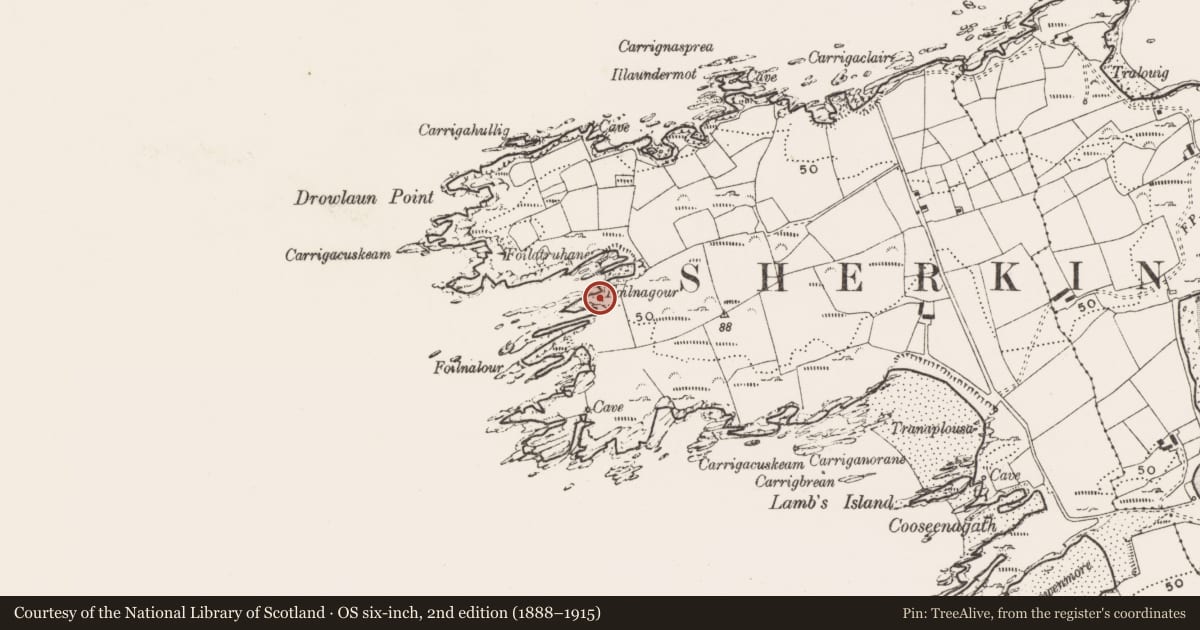 Ordnance Survey six-inch map, 2nd edition (1888–1915) covering the location of Promontory fort - coastal, Cloddagh (Sherkin Island), County Cork, with a pin at the register's coordinates