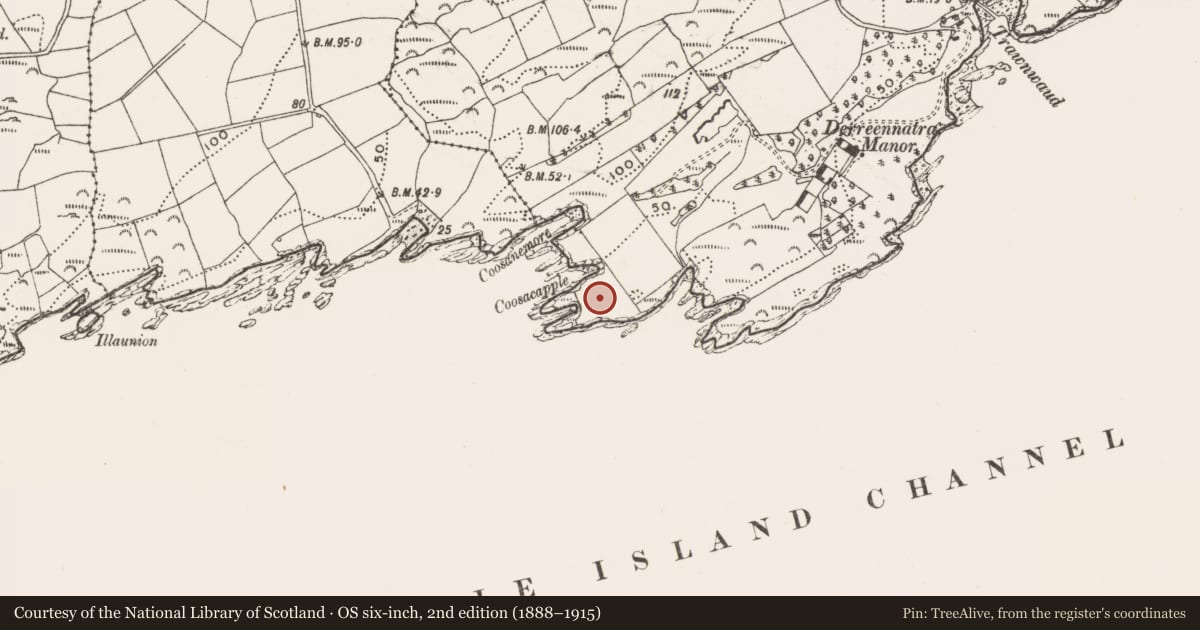Ordnance Survey six-inch map, 2nd edition (1888–1915) covering the location of Promontory fort - coastal, Dereenatra, County Cork, with a pin at the register's coordinates