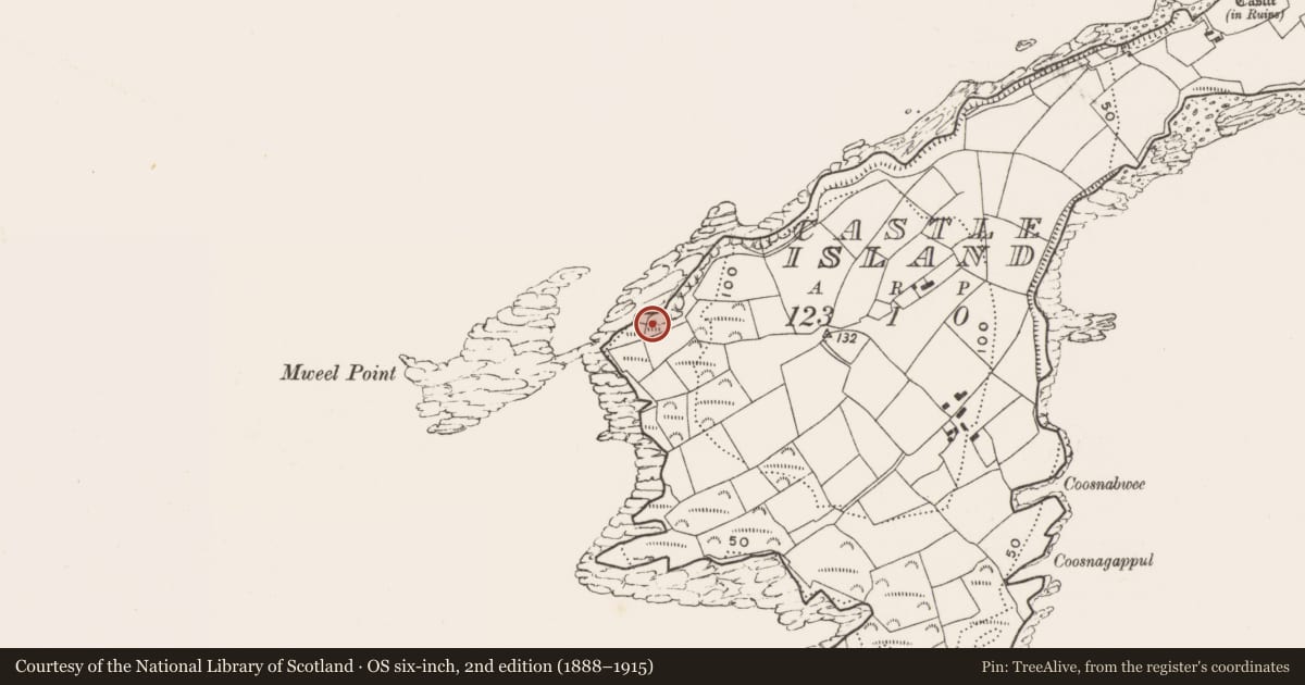 Ordnance Survey six-inch map, 2nd edition (1888–1915) covering the location of Promontory fort - coastal, Castle Island, County Cork, with a pin at the register's coordinates