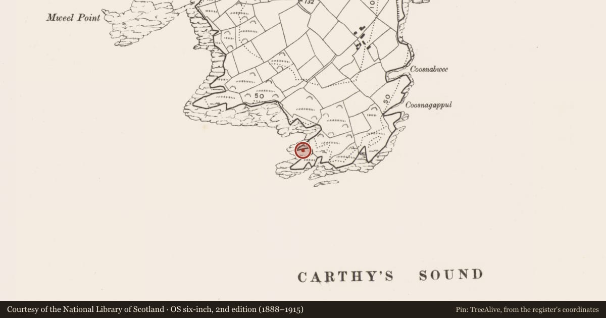 Ordnance Survey six-inch map, 2nd edition (1888–1915) covering the location of Promontory fort - coastal, Castle Island, County Cork, with a pin at the register's coordinates