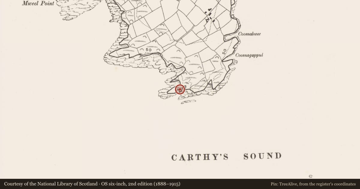 Ordnance Survey six-inch map, 2nd edition (1888–1915) covering the location of Promontory fort - coastal, Castle Island, County Cork, with a pin at the register's coordinates