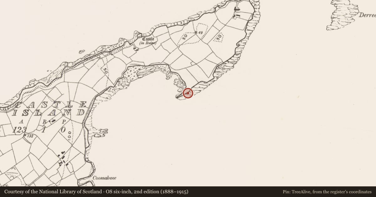Ordnance Survey six-inch map, 2nd edition (1888–1915) covering the location of Promontory fort - coastal, Castle Island, County Cork, with a pin at the register's coordinates
