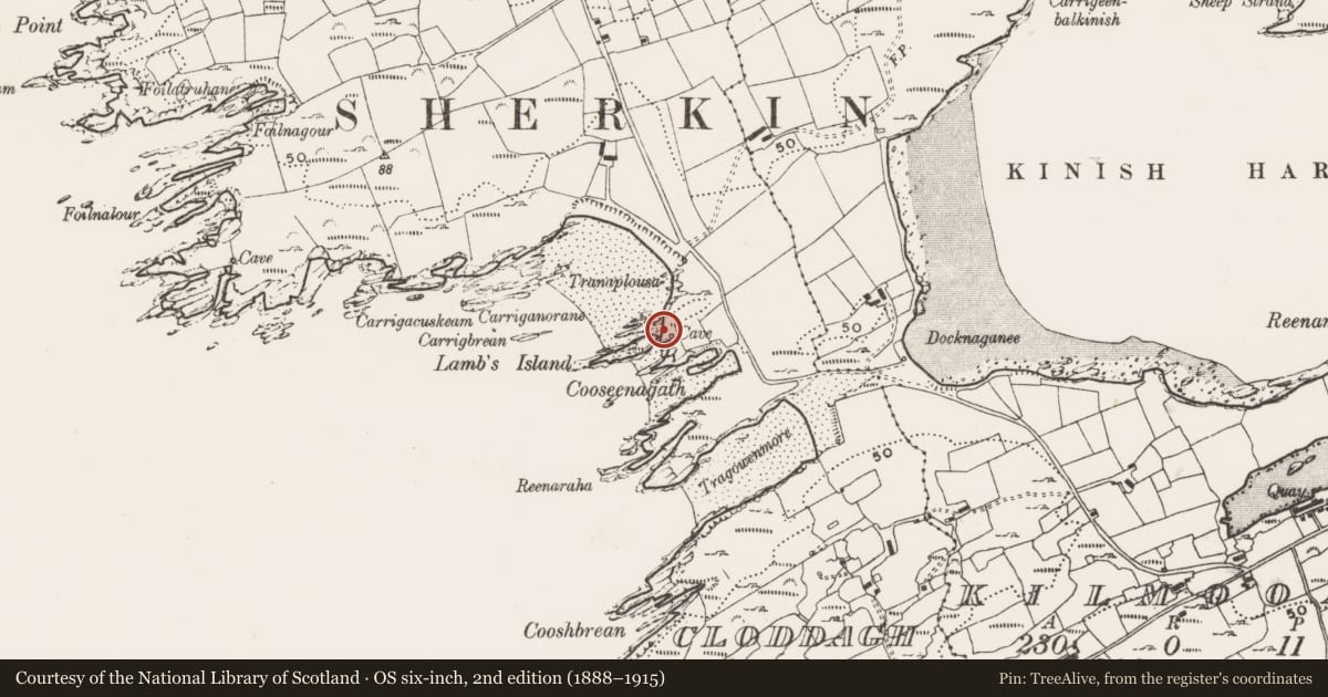 Ordnance Survey six-inch map, 2nd edition (1888–1915) covering the location of Promontory fort - coastal, Cloddagh (Sherkin Island), County Cork, with a pin at the register's coordinates