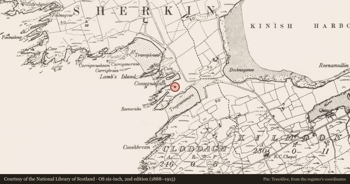 Ordnance Survey six-inch map, 2nd edition (1888–1915) covering the location of Promontory fort - coastal, Cloddagh (Sherkin Island), County Cork, with a pin at the register's coordinates