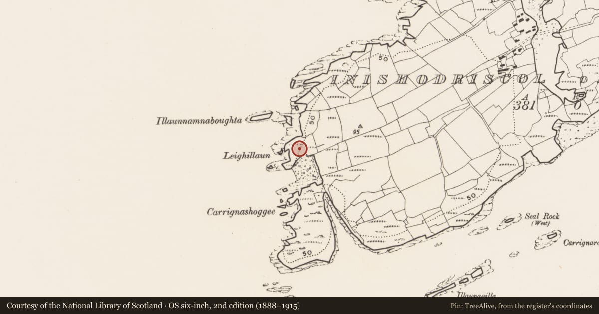 Ordnance Survey six-inch map, 2nd edition (1888–1915) covering the location of Promontory fort - coastal, Inishodriscol Or Hare Island, County Cork, with a pin at the register's coordinates