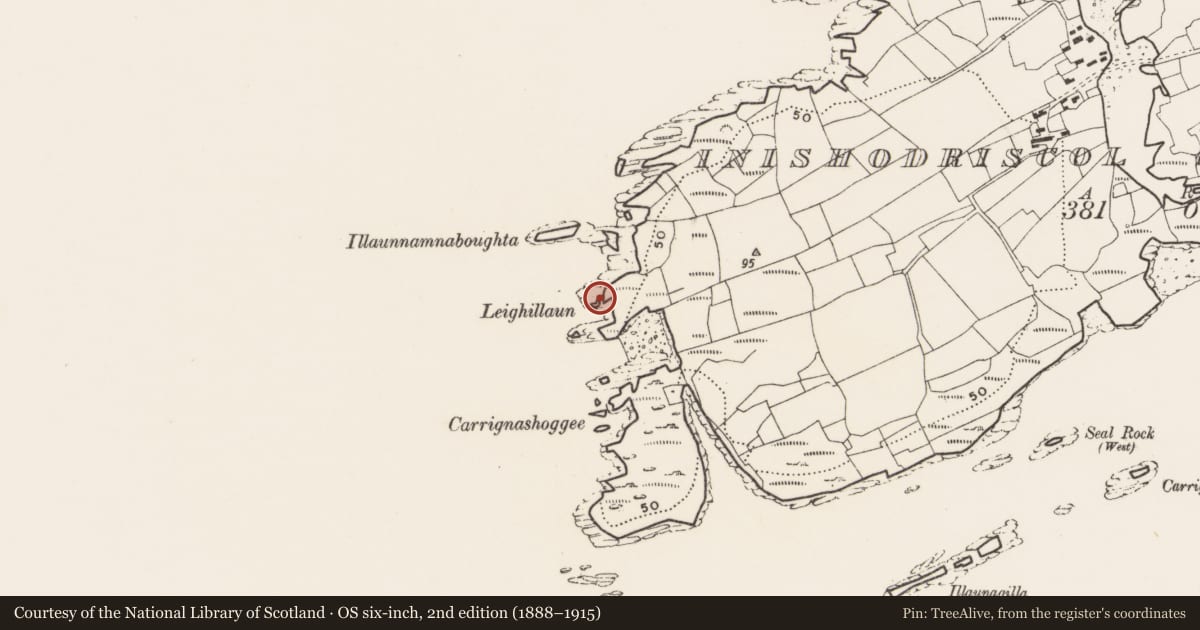 Ordnance Survey six-inch map, 2nd edition (1888–1915) covering the location of Promontory fort - coastal, Inishodriscol Or Hare Island, County Cork, with a pin at the register's coordinates