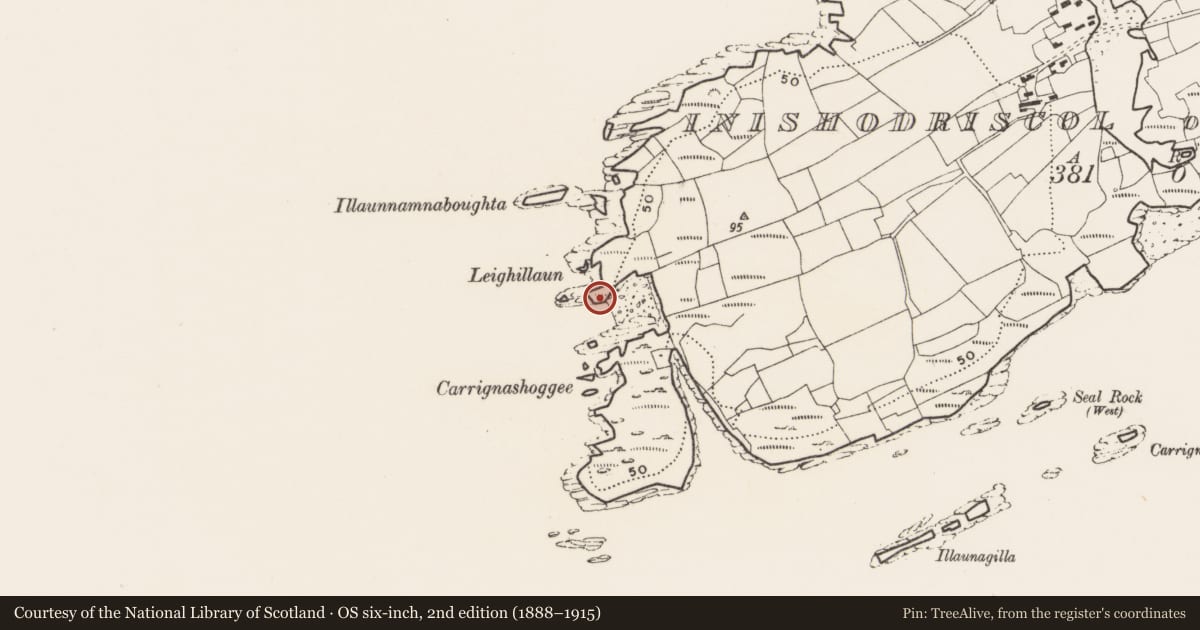 Ordnance Survey six-inch map, 2nd edition (1888–1915) covering the location of Promontory fort - coastal, Inishodriscol Or Hare Island, County Cork, with a pin at the register's coordinates