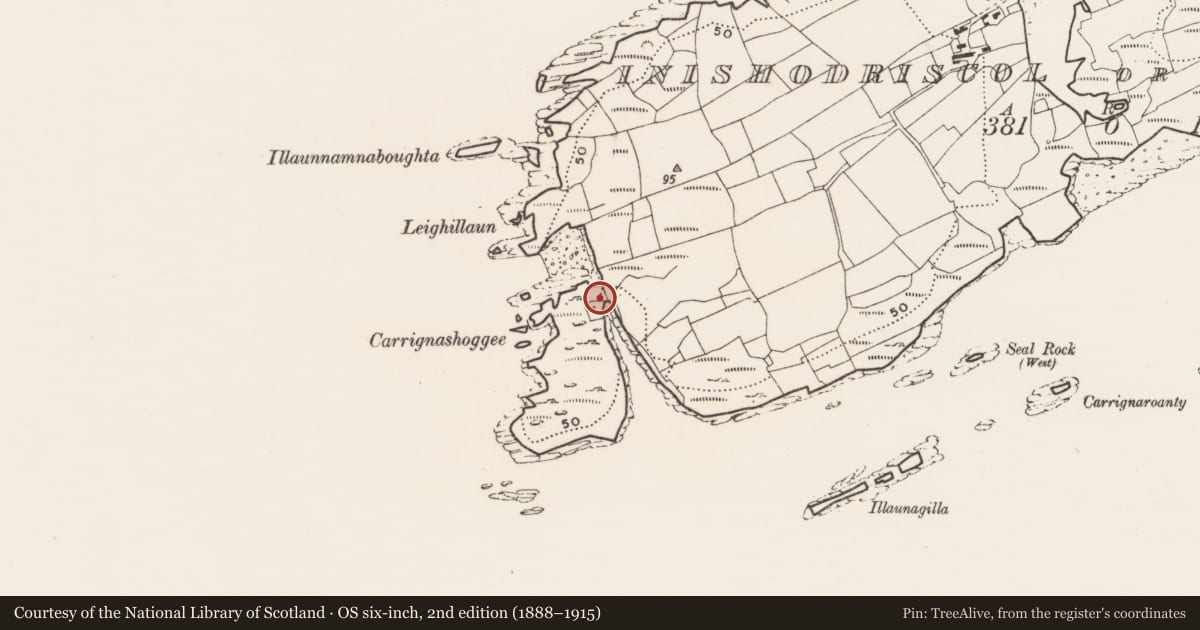 Ordnance Survey six-inch map, 2nd edition (1888–1915) covering the location of Promontory fort - coastal, Inishodriscol Or Hare Island, County Cork, with a pin at the register's coordinates