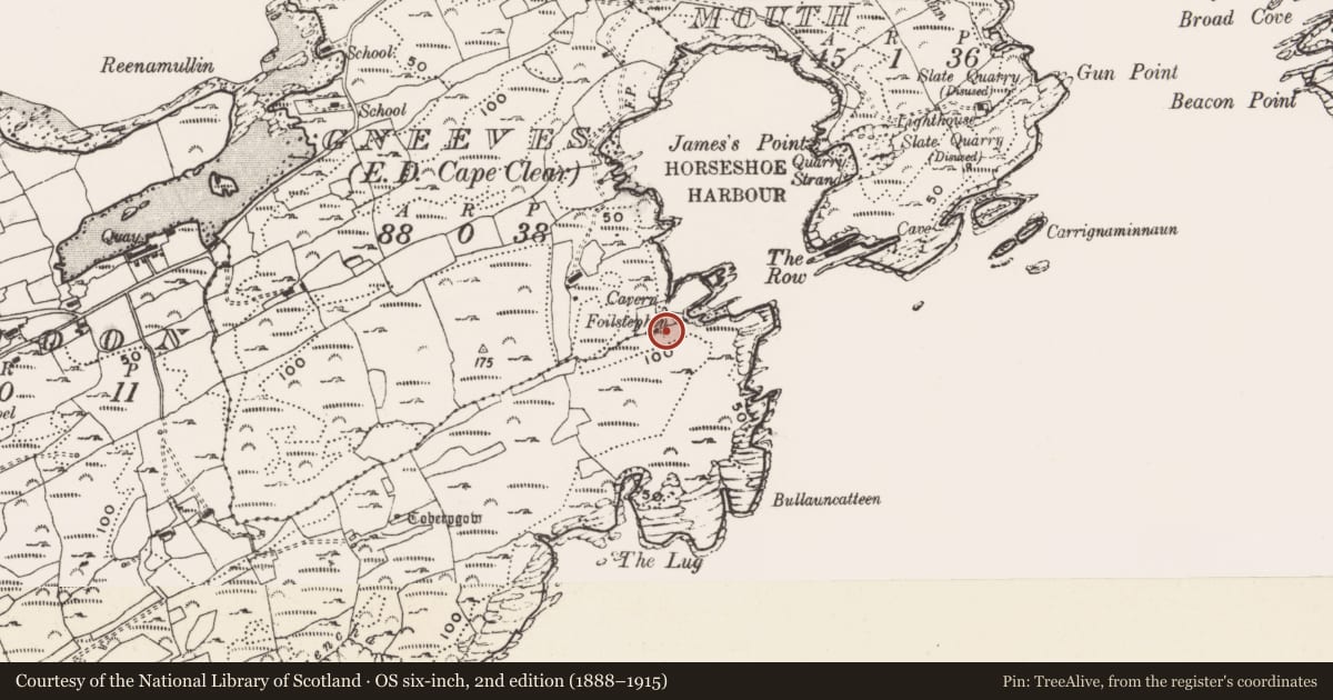 Ordnance Survey six-inch map, 2nd edition (1888–1915) covering the location of Ritual site - holy well, Kilmoon (Sherkin Island), County Cork, with a pin at the register's coordinates
