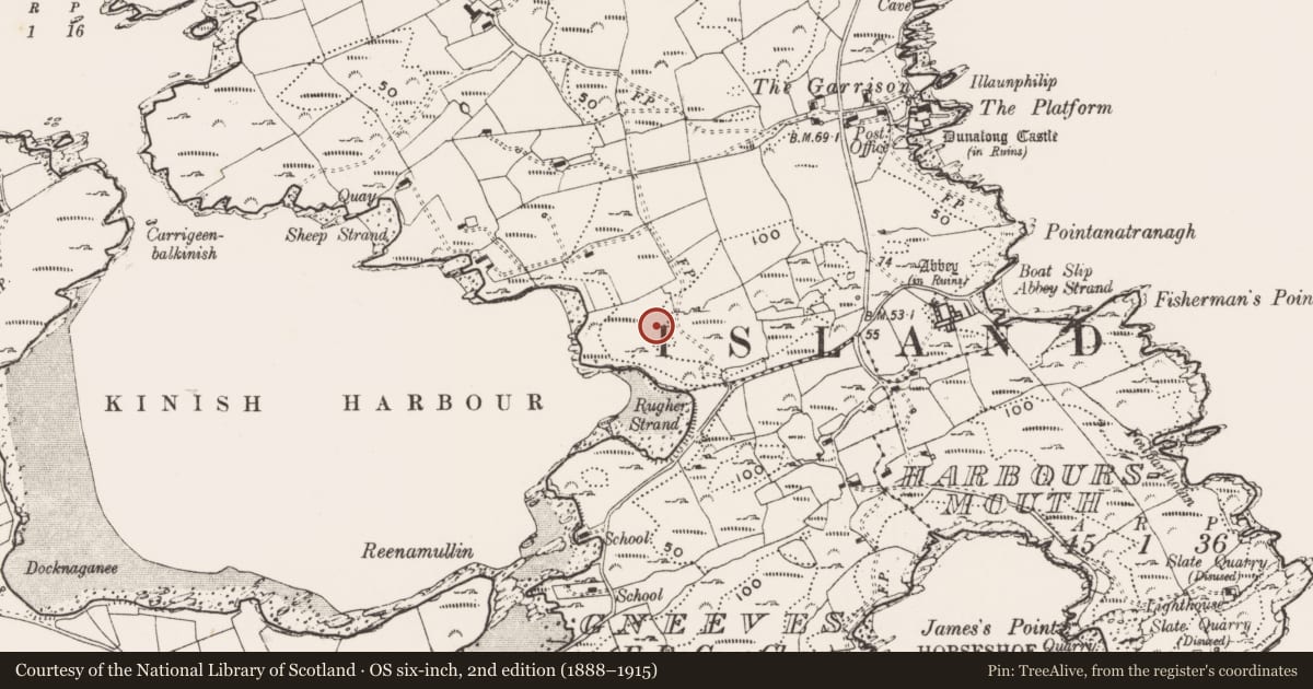 Ordnance Survey six-inch map, 2nd edition (1888–1915) covering the location of Mass-rock, Farranacoush (Sherkin Island), County Cork, with a pin at the register's coordinates