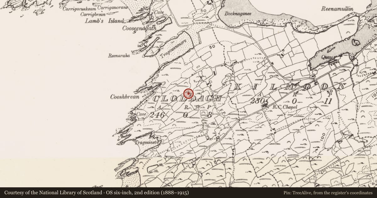 Ordnance Survey six-inch map, 2nd edition (1888–1915) covering the location of Chapel, Cloddagh (Sherkin Island), County Cork, with a pin at the register's coordinates