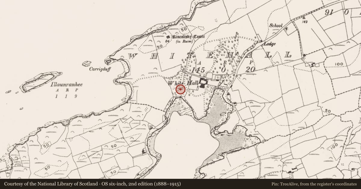 Ordnance Survey six-inch map, 2nd edition (1888–1915) covering the location of Fish-pond, Whitehall, County Cork, with a pin at the register's coordinates